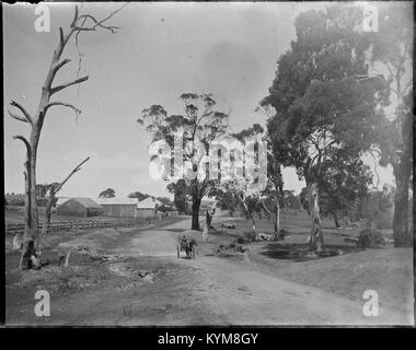 Glasnegative inklusive Bilder von Sydney und Manly, 36247725513 o Stockfoto