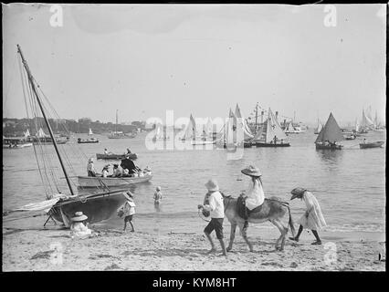 Glasnegative inklusive Bilder von Sydney und Manly, 36658583870 o Stockfoto