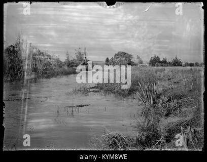 Eine malerische Aussicht auf Whakarewarewa und Rotorua, zwei beliebte Orte in Neuseeland, mit ihren einzigartigen Landschaften und geothermischen Aktivitäten. Stockfoto