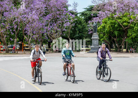 Buenos Aires Argentinien,Bosques de Palermo,Parque 3 de Febrero,öffentlicher Park,Hispanic,Mann Männer männlich,jung,erwachsen,trainieren,reiten,Fahrrad Fahrräder bicycli Stockfoto