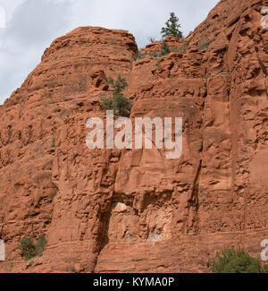 Atemberaubende Aussicht auf die Red Rocks von Sedona Stockfoto