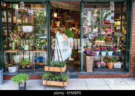 Buenos Aires Argentinien, Palermo, Lafinur Street, Schaufenster, Blumenhändler, Pflanzen, Erwachsene Erwachsene Frau Frauen weibliche Dame, Tragen, Heben, Hispanic Latino et Stockfoto