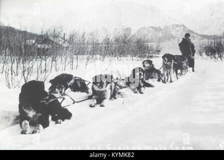 Foto von Seward und Susitna [Alaska] mail Team 4010654187 o Stockfoto