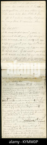 Handschriftliche Einträge aus Hubbards Tagebuch aus dem 21. Und 22. Oktober 1880, die Experimente und Beobachtungen über Insekten und Botanik in Florida dokumentieren. Stockfoto