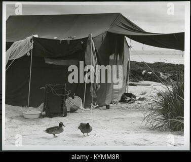 Campingplatz bei Hawaiian Islands National Wildlife Refuge, Juni 16, 1962 8232891368 o Stockfoto