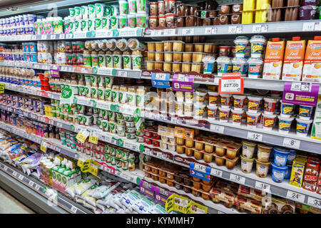 Buenos Aires Argentinien, Palermo, Express, 24-Stunden-Geschäft, Markt, Display, Kühlschrank, Milchprodukte, Joghurt, Flan, spanische lateinamerikanische ethnische Minderheit, Besucher Stockfoto