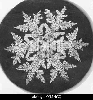 Eine detaillierte Untersuchung einer Schneeflocke, die in hoher Vergrößerung aufgenommen wurde und ihre komplizierte und symmetrische Struktur zeigt. Stockfoto