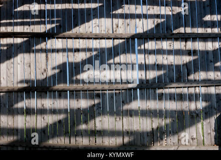 Alte hölzerne grau Zaun aus Brettern mit diagonalen Muster von Sonne und Schatten Streifen auf Ihnen. Stockfoto