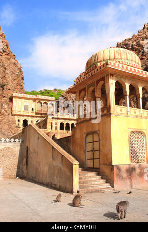 Drei Affen in Galta Ji-Tempel (Monkey Tempel) in der Nähe von Jaipur, Indien Stockfoto