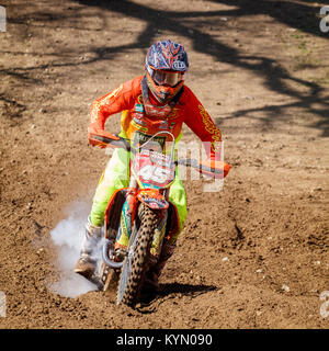 Jake Nicholls auf der Hitachi UK KTM MX1 Am 2017 Maxxis British Championship, Cadders Hill, Lyng, Norfolk, Großbritannien. Stockfoto