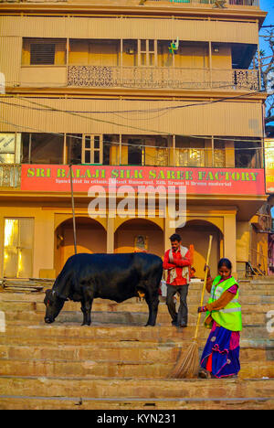 Kuh auf der Straße Varanasi Indien Stockfoto