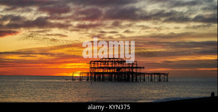 Brighton und Hove, East Sussex, England schönen Sonnenuntergang hinter West Pier Ruinen mit einem Schwarm Stare fliegen in Formation auf der Suche nach Quartieren Stockfoto