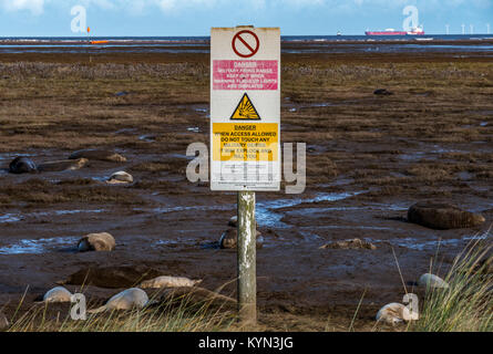 Gefahr Warnschild am Strand bei Donna Nook National Nature Reserve, mit Dichtungen und neugeborenen Welpen im Hintergrund Stockfoto