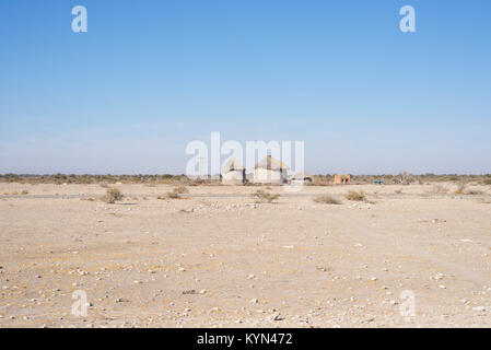 Schlamm Stroh und Holz- Hütte mit Strohdach im Busch. Lokale Dorf im ländlichen Caprivi Strip, die bevölkerungsreichste Region in Namibia, Afrika. Stockfoto