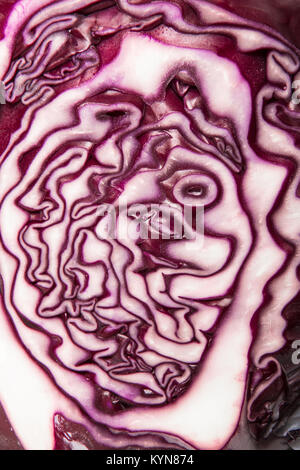 Rotkohl Querschnitt close-up Detail Stockfoto