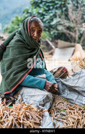 Der Bauer vor dem Haus im Dorf Dhampus, Nepal, Asien. Annapurna Base Camp Trek. Stockfoto