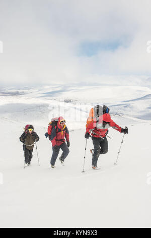 Zu Fuß bis nach Cairn Gorm Gipfel an Tag zwei © Paul Glendell Stockfoto