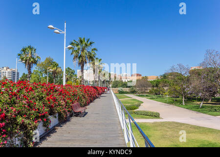 Rote Blumen auf der Puente de las flores Brücke in Valencia, Spanien Stockfoto