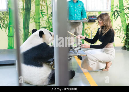 First Lady Melania Trump besucht China am 10. November 2017 im Rahmen der offiziellen Asienreise von Präsident Trump, um die diplomatischen Beziehungen zwischen den USA und China zu fördern. Stockfoto