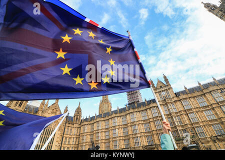 London, Großbritannien. 15. Januar 2018. Pro-europäische Aktivisten protestieren weiter gegen Brexit außerhalb des Parlaments als neue Analyse Bericht schlägt eine harte Brexit kosten wird die schottische Wirtschaft £ 16 Mrd. pro Jahr verursacht Schottischen houselhold Einkommen sinken, wenn die britische Regierung wieder auf den Regeln der Welthandelsorganisation zu fallen Stockfoto