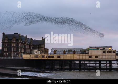 Aberystwyth Wales UK, Montag, 15. Januar 2018 UK Wetter: In silber grau Licht der Januar Dämmerung in Aberystwyth Wales, große Schwärme von Staren in ihrer Zehntausende erscheinen, fliegen in den wunderbaren murmurations im Himmel vor Absteigend für die Nacht unter charakteristischen Badeort der Stadt Pier zum roost Die Vögel fest zusammen für Wärme, Sicherheit und über Nacht Begleitung Unordnung, laut klappern, wie Sie jede freie Zoll des Waldes von Träger und Balken unter den Fußböden der Pier besetzen. Photo Credit: Keith Morris/Alamy leben Nachrichten Stockfoto