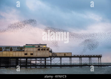 Aberystwyth Wales UK, Montag, 15. Januar 2018 UK Wetter: In silber grau Licht der Januar Dämmerung in Aberystwyth Wales, große Schwärme von Staren in ihrer Zehntausende erscheinen, fliegen in den wunderbaren murmurations im Himmel vor Absteigend für die Nacht unter charakteristischen Badeort der Stadt Pier zum roost Die Vögel fest zusammen für Wärme, Sicherheit und über Nacht Begleitung Unordnung, laut klappern, wie Sie jede freie Zoll des Waldes von Träger und Balken unter den Fußböden der Pier besetzen. Photo Credit: Keith Morris/Alamy leben Nachrichten Stockfoto