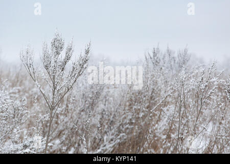 Oblast Samara, Samara, Russische Föderation. 15 Jan, 2018. Die epiphanie Frost entsprechend der Funktion beginnen in der Zeit vom 16. bis 18. Januar und die letzten 3-7 Tage. In der Regel ist es die kälteste Zeit in Russland. Credit: Katrina Kochneva/ZUMA Draht/Alamy leben Nachrichten Stockfoto