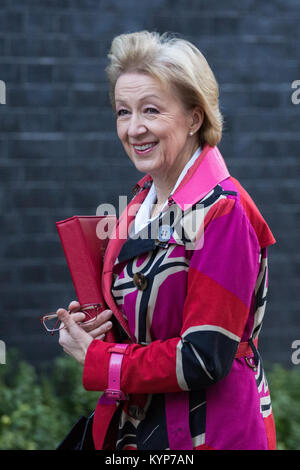 London, Großbritannien. 16 Jan, 2018. Andrea Leadsom MP, Herr Präsident des Rates, und Führer des Unterhauses, kommt an 10 Downing Street für eine Sitzung. Themen erwartet, diskutiert zu werden, und der Zusammenbruch der Carillion. Credit: Mark Kerrison/Alamy leben Nachrichten Stockfoto