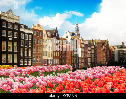 Häuser von Amstardam, Niederlande Stockfoto