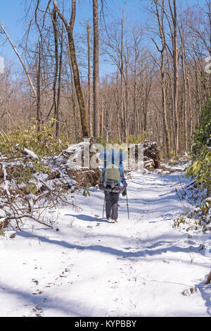 Backpacker auf dem Big Creek Trail in den Smokey Mountains nach einem Frühling Schnee Stockfoto