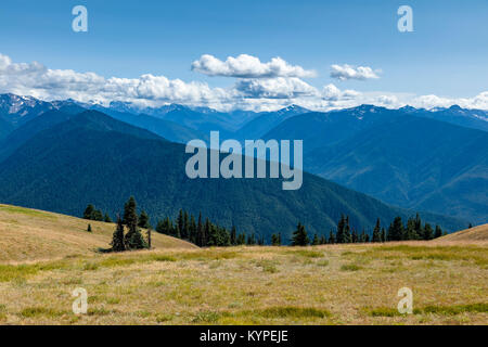 Wolken über die Olympischen Berge von Hurrican Ridge in Oyympic National Park Washington Stockfoto