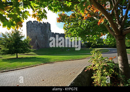 Chepstow Castle in Monmouthshire, Wales UK das älteste erhaltene Post-römischen Stein Festung in Großbritannien. Über Klippen auf dem Fluss Wye gelegen, Stockfoto