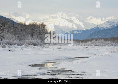 Schneebedeckte Berge in Alaska. Chilkat State Park. Mud Bay. HAINES. Alaska. USA Stockfoto