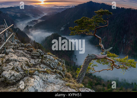 Sonnenaufgang auf Sokolica, Pieniny, Polen Stockfoto