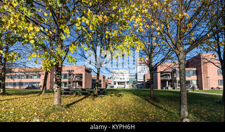 Kristiansand, Norwegen - 5 November, 2017: Das Äußere der Universität in Kristiansand, UiA. Bäume in der Front. Stockfoto