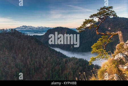 Sonnenaufgang auf Sokolica, Pieniny, Polen Stockfoto