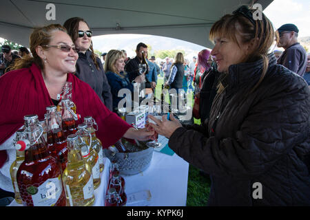 Besuchen Teilnehmer der Verkostung der verschiedenen Weine, die auf dem jährlichen Festival der Traube in Oliver, British Columbia, Kanada befinden. Stockfoto