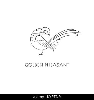 Golden Pheasant lineare schild vogel isoliert auf Weiss. Vektor Logo Design Stock Vektor