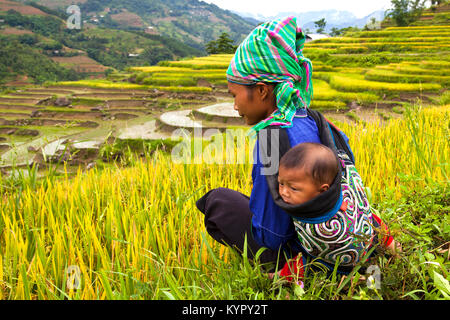 Junge Frau, die ihr Baby tragen während der Arbeit auf die Reisterrassen in Hoang Su Phi, Ha Giang Provinz, in der bergigen nordwestlichen Vietnam. Stockfoto