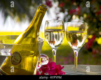 Zwei frisch gezapften Gläser kühlen Weißwein auf Alfresco Garten Terrasse Tisch mit Bougainvillea Blumen und Palmen hinter im sonnigen Luxusurlaub Urlaub Stockfoto