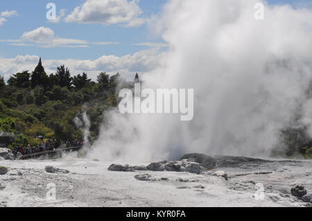 Pohutu Geysir in Te Puia, Rotorua, Neuseeland Stockfoto