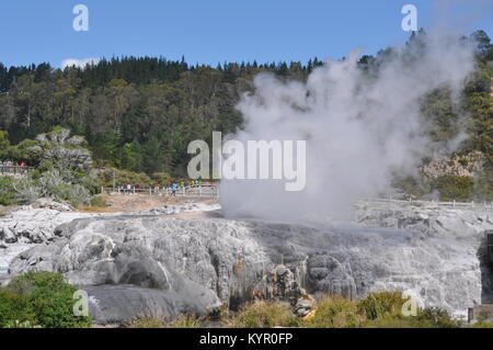 Pohutu Geysir in Te Puia, Rotorua, Neuseeland Stockfoto