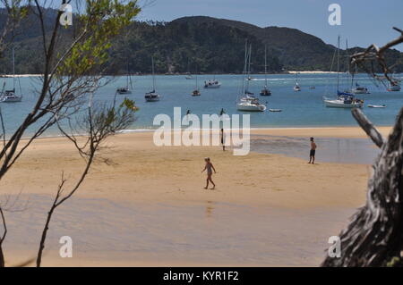 Strand und Schiffe an Anchorage Bay, Abel Tasman National Park, Neuseeland Stockfoto