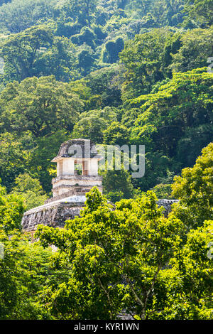 PALENQUE, MEXIKO - 29. NOVEMBER: Ancient Mayan Strukturen am Weltkulturerbe am 29. November 2016 in Palenque. Palenque wurde als Weltkulturerbe Stockfoto