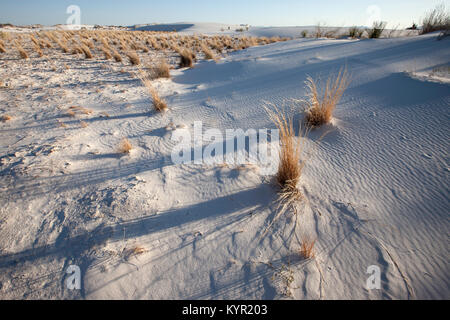 White Sands Nationalpark in New Mexico Stockfoto