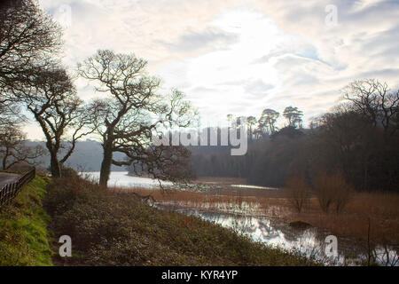 Moody Licht im Winter, Helston Loe Pool, Cornwall, England, Großbritannien. Stockfoto