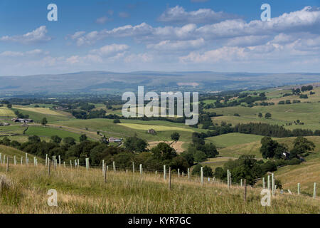 Obere Eden Valley in Cumbria, in Richtung Kreuz fiel. Stockfoto