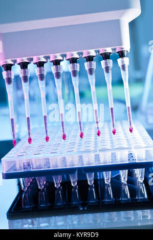 Nahaufnahme auf automatische multipipette Tipps über 96-Well Platte zur DNA-Vervielfältigung Stockfoto