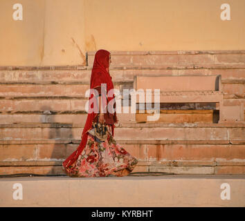 Bunte Saris, Pushkar, Rajasthan, Indien Stockfoto