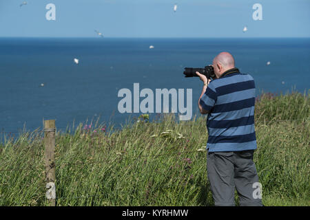 Männliche Vogelbeobachter mit der Kamera Fotos von fliegende Seevögel über Nordsee im Sommer - Bempton Cliffs RSPB Reservat, East Yorkshire, England, UK. Stockfoto